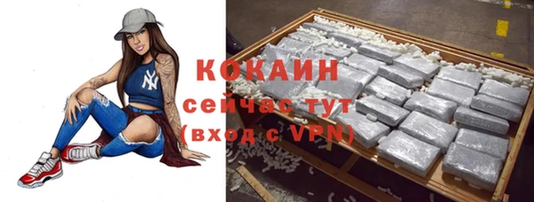спайс Вяземский