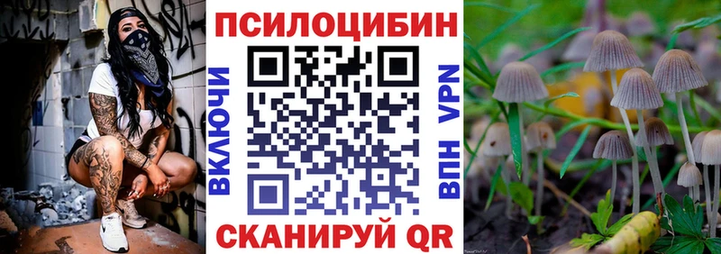 закладки  Дальнереченск  Галлюциногенные грибы MAGIC MUSHROOMS 